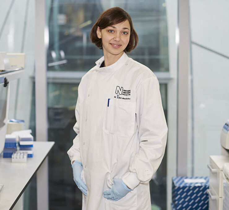 Day in the Life: BioInformatics